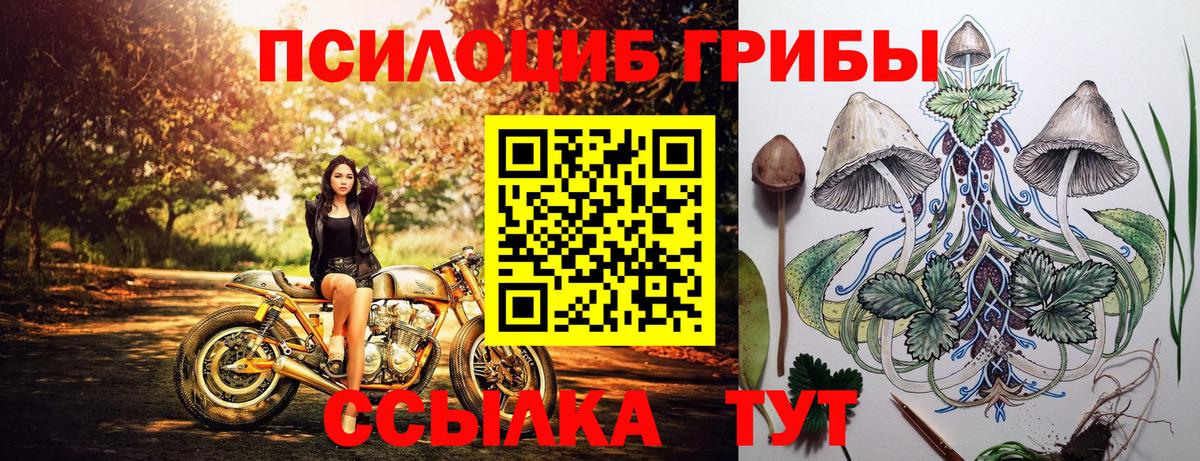 Салехард  Псилоцибиновые грибы MAGIC MUSHROOMS  Вход с VPN 